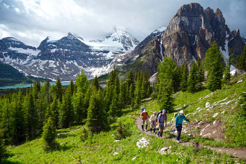 Guided Excursions & Lessons in Kananaskis
