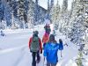 Guided snowshoe tour in Kananaskis near Canmore
