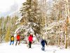 Guided snowshoe tour in Kananaskis near Canmore