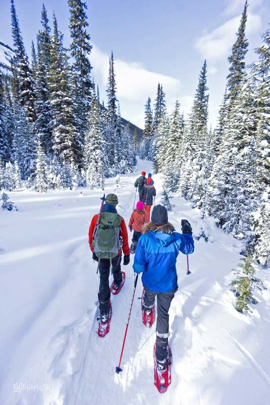 Guided snowshoe tour in Kananaskis near Canmore