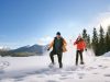 Guided snowshoe tour in Kananaskis near Canmore